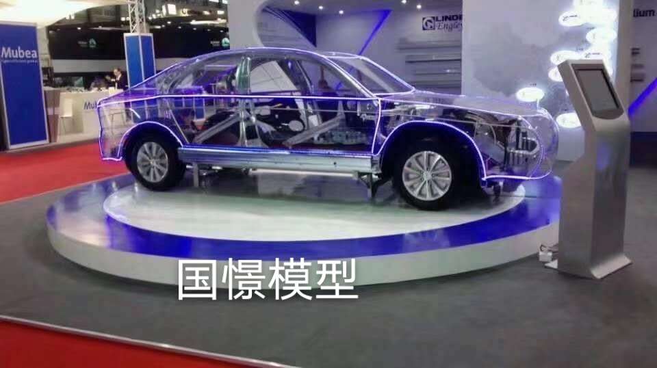 大新县透明车模型