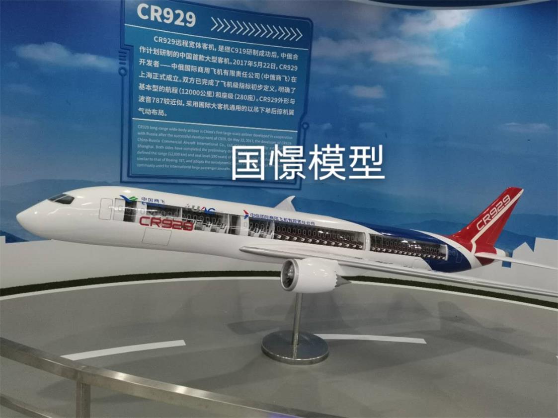 大新县飞机模型